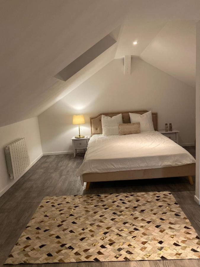 Le Duplex De L'Avenue Apartment Chalon-sur-Saone Ngoại thất bức ảnh